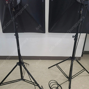 포멕스 E600 SS-A 세트 +무선동조기 2