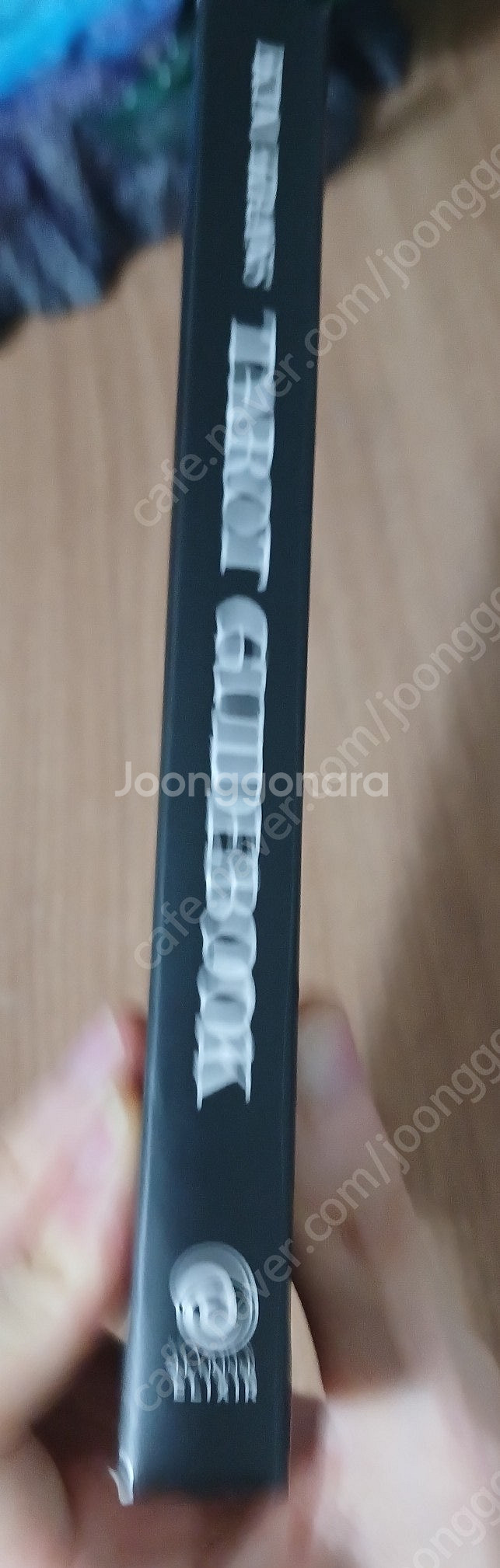 와일드 언노운 타로 영문 가이드북--0