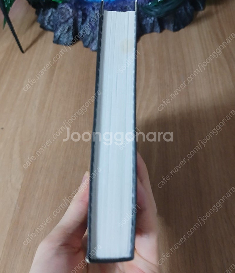 와일드 언노운 타로 영문 가이드북--4