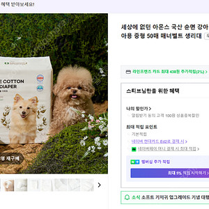 강아지 기저귀 / 수컷 기저귀 싸게 들여가세요