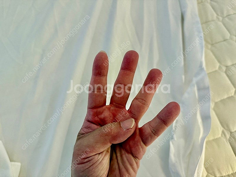 퀸 사이즈 침대 / 레스토닉 매트리스 스칸디아 템바보드...--4