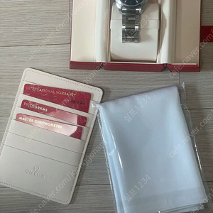 오메가 아쿠아테라 청판41mm 25/3월구매제품