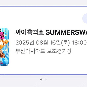 싸이 흠뻑쇼 부산 16일 스탠딩 원가양도