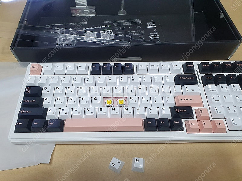 AULA F99 독거미 유무선 한글 올리비아화이트 황축...--0