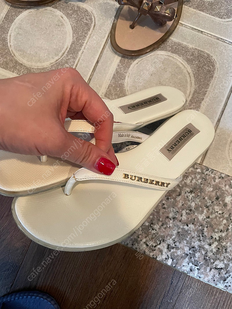 버버리쪼리 37--1