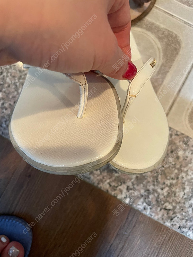 버버리쪼리 37--2