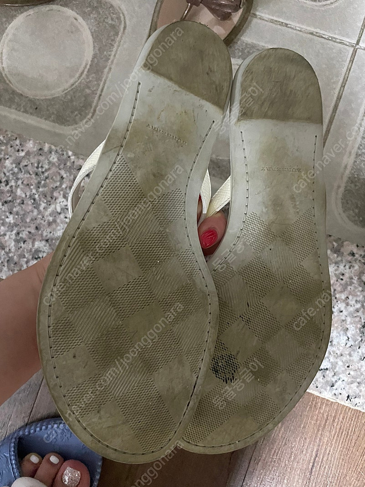 버버리쪼리 37--4