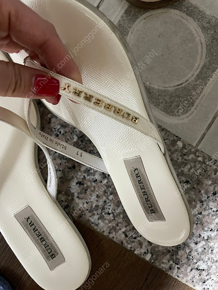 버버리쪼리 37--5