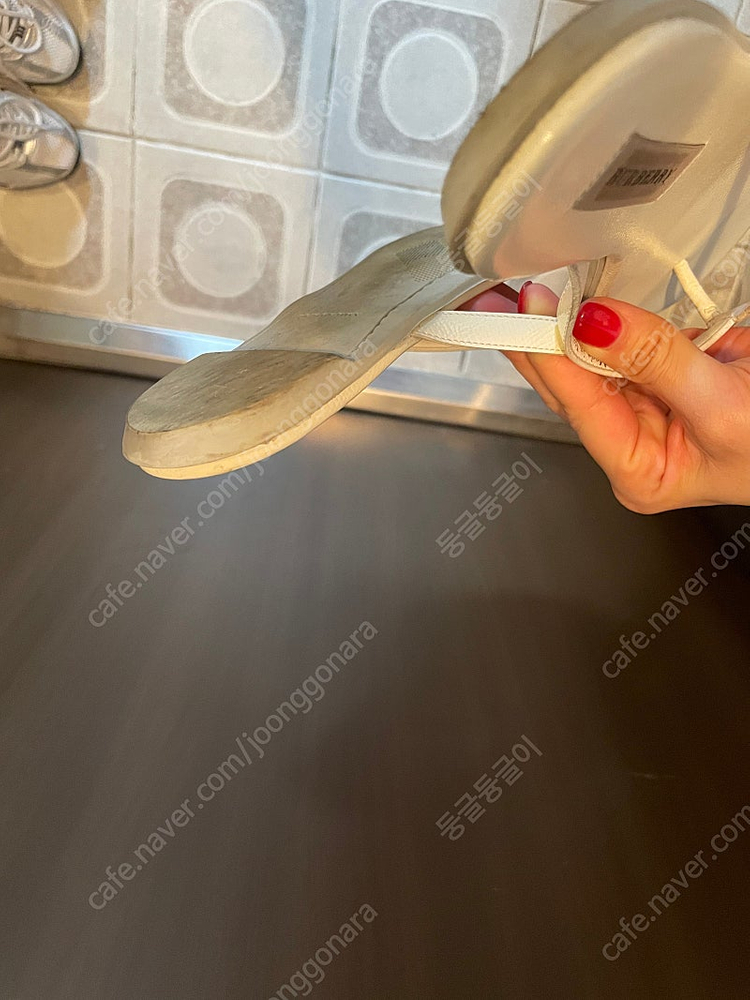 버버리쪼리 37--6