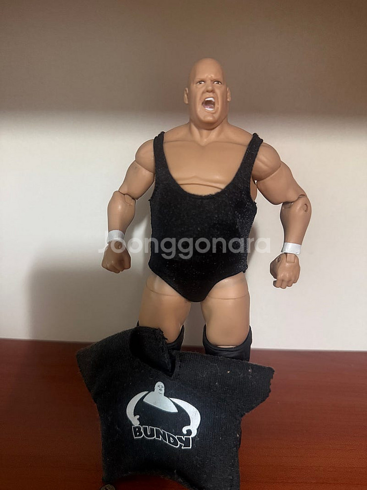WWE 액션피규어--1