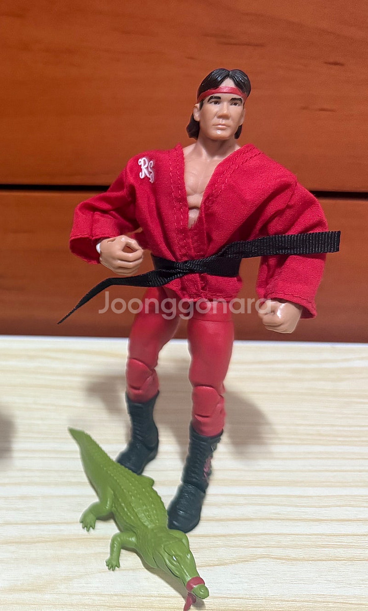 WWE 액션피규어--6