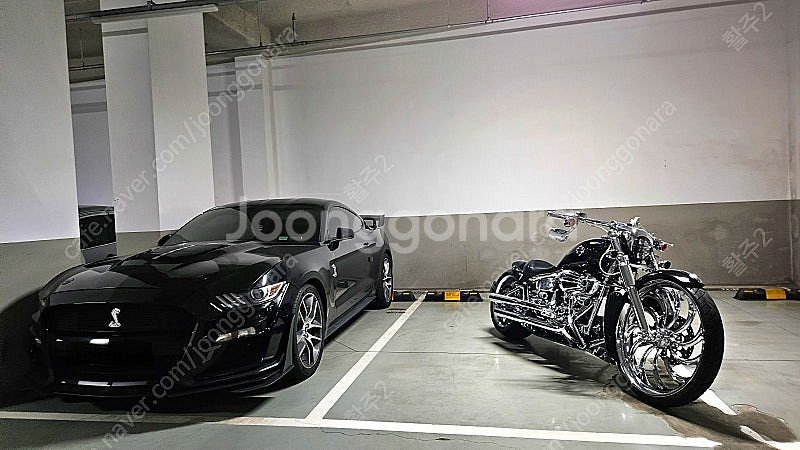 2015 머스탱 GT 낮은 키로수 GT500 튜닝--7