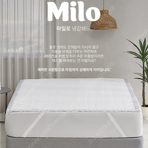 알레르망 마일로 냉감패드