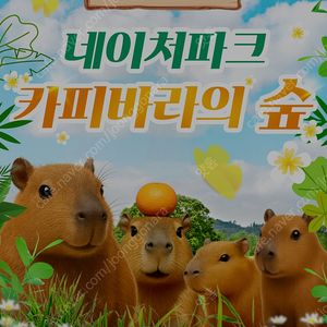 네이처파크 평일 주말 2인 종일권 15000원 판매 (대인 소인 다 가능)