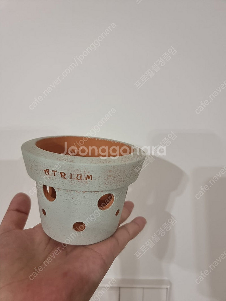 아뜨리움 치즈 토분--0