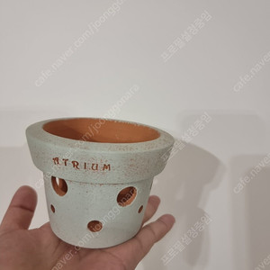 아뜨리움 치즈 토분