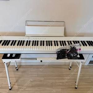 카시오 Privia PX-S1100 화이트