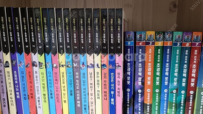 웅진북클럽 명작 그래픽 노블,정말?진짜? 동물탐험,생쥐...--3