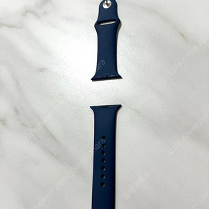 애플워치 42mm 정품 스트랩