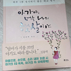 태교 책