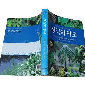 [중고책]한국의약초(포켓북입니다)