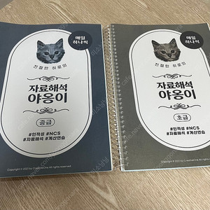 NCS 자료해석 야옹이 (초급, 중급) 일괄 판매