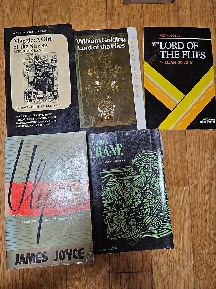 영문과 전공 원서 팔아요(16,17,18세기영시번역판, 세익스피어 맥베스, 햄릿, 리어왕, 제임스조이스작품등) 이미지