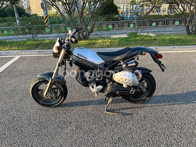 스즈키 스트리트매직 100cc--2