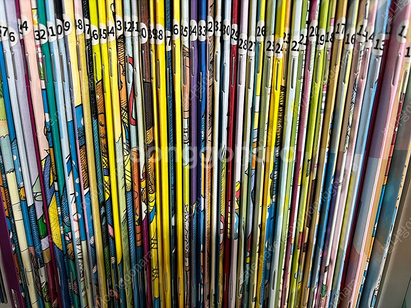 수퍼맘 베어스테인 베어즈(berenstain bears...--0