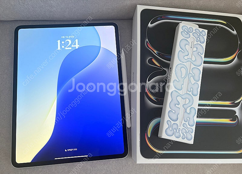 아이패드 13 m4 wifi 256 실버 + 애플펜슬프...--0
