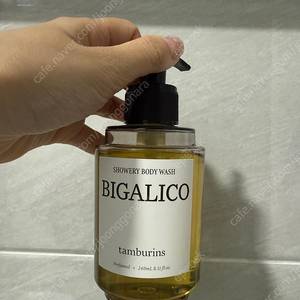 탬버린즈 바디워시 비갈리코 bigalico 240ml