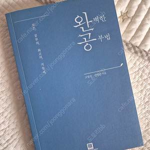 고영성, 신영준 작가의 "완벽한 공부법"입니다