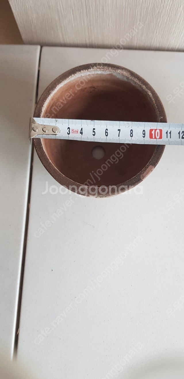 두갸르송 팡--1