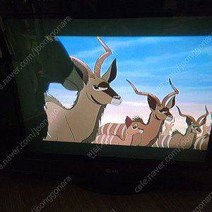 옛날 구식 LG 브라운관 평면 TV(동영상 참조)
