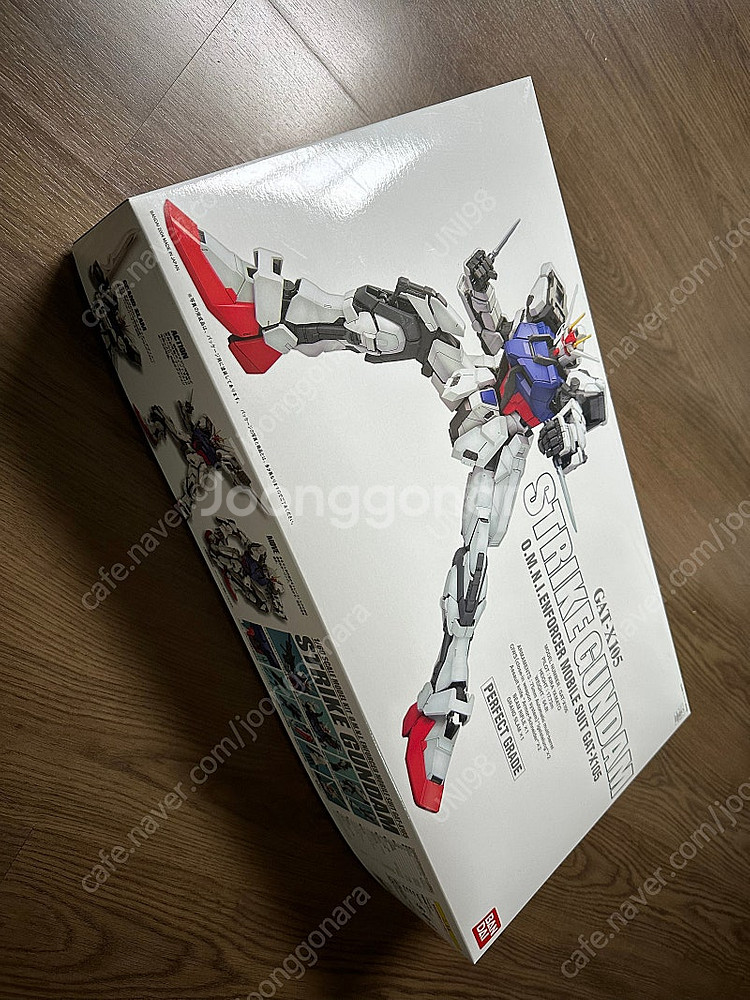 퍼펙트건담 GAT-X105 PG 새제품--0