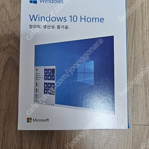 윈도우 10 Home