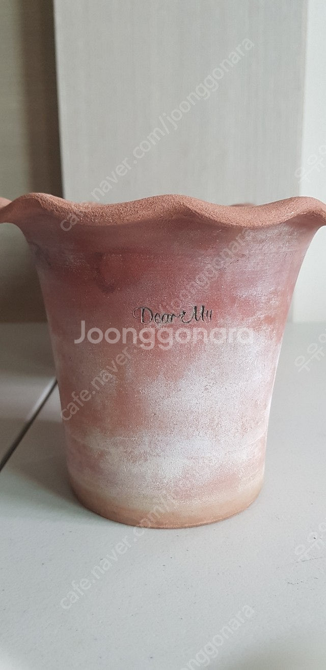 디어마이팟--1