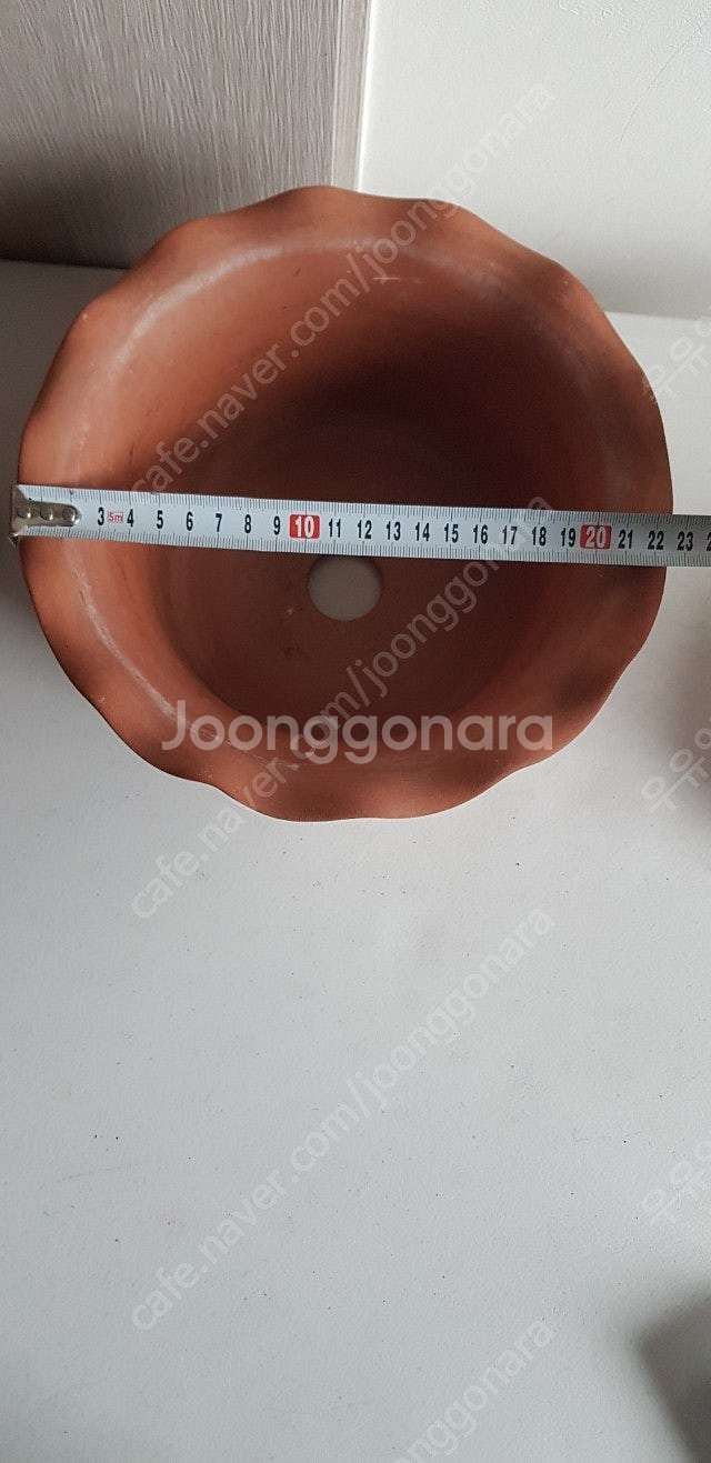 디어마이팟--4