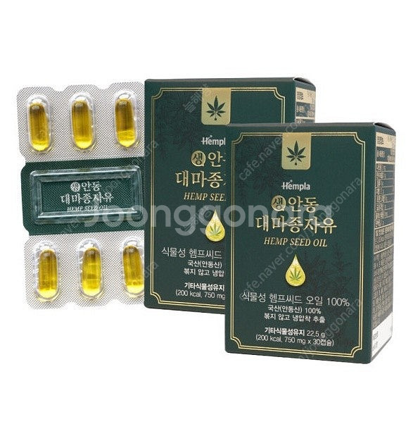 하루이야기 홍삼천마 하루채움 10g x 30포 무주발효...--9