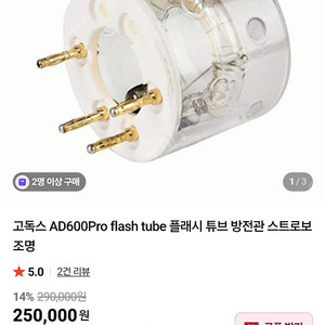 고독스 정품 Godox AD600Pro 플래시 튜브