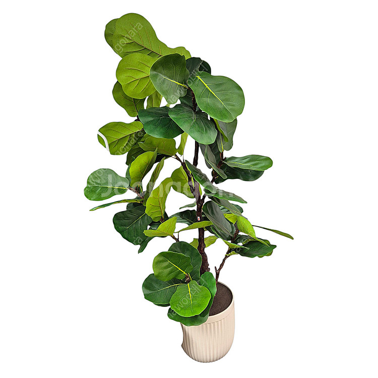 무화과 인조식물 나무(코스트코)--0