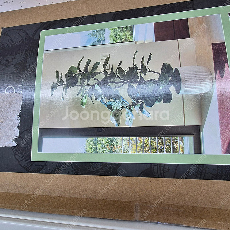 무화과 인조식물 나무(코스트코)--2