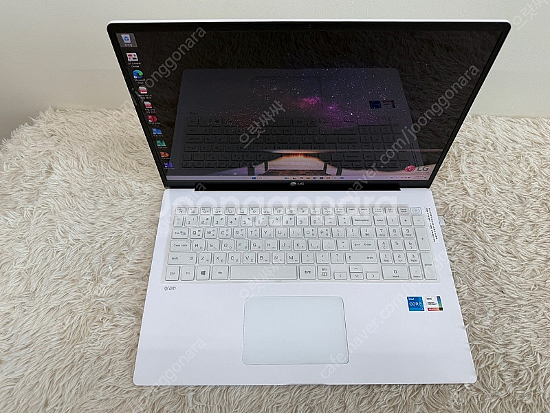 LG전자 2021 그램17 17Z95N-G.AR50K ...--1
