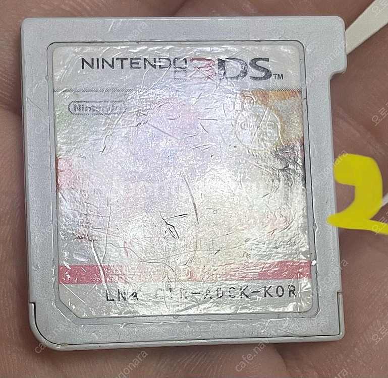 닌텐도 3ds칩 닌텐독스 캣츠 푸들--5