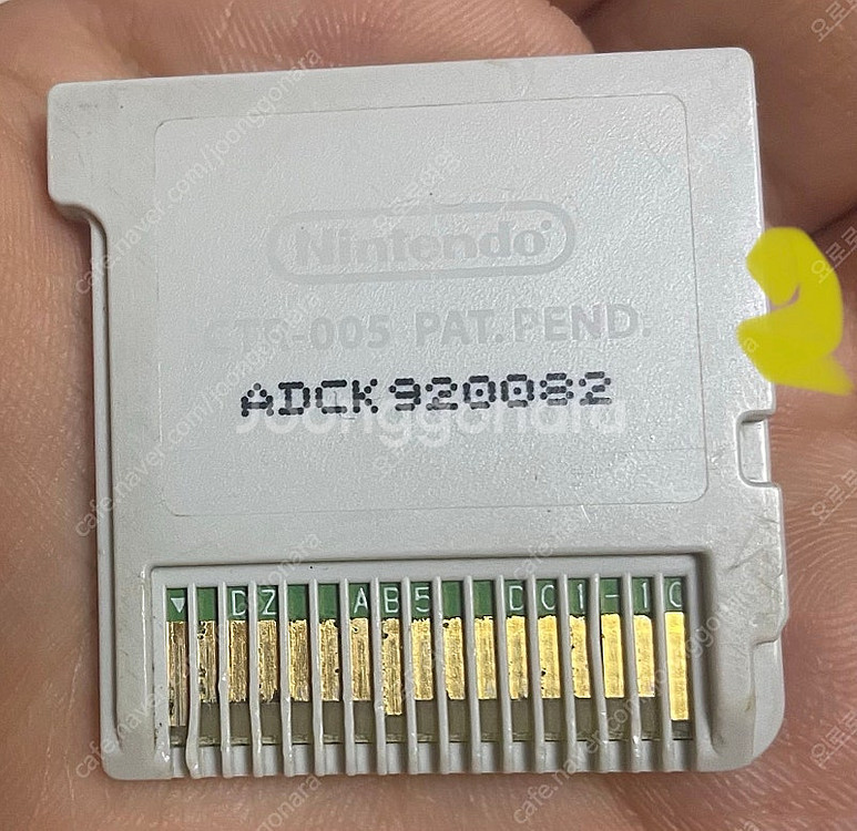 닌텐도 3ds칩 닌텐독스 캣츠 푸들--6