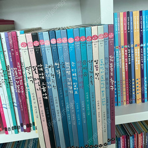 사파리 국시꼬랭이