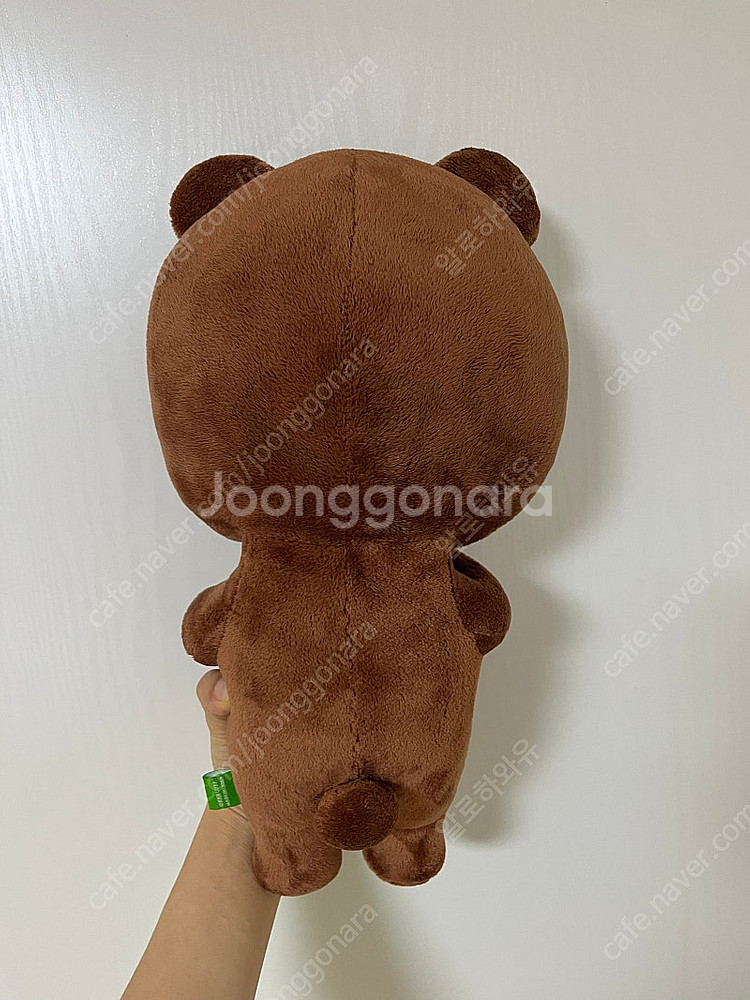 라인프렌즈 정품 브라운 인형--3