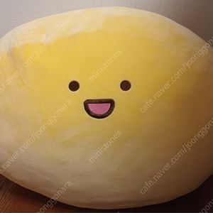 도우도우 빅쿠션