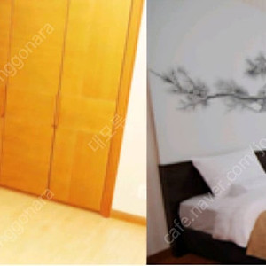 오늘입실)) 속초 고성 파인리즈 리조트