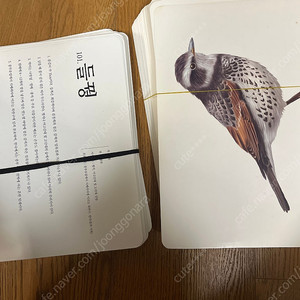 영재오 새카드 200장 택포 30000